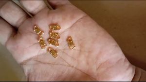 PENGAIT KALUNG DAN GELANG TITANIUM MODEL S TERLARIS FASHION WANITA KOKOT KALUNG