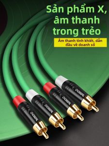 Choseal | Dây Cáp Âm Thanh 2 RCA