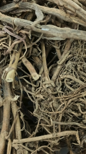 花生根 100g Peanut Root chinese herbs