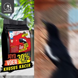 BELI 1 GRATIS 1 | MAKANAN BURUNG KACER | VOER HARIAN | VOER NUTRISI KOMPLIT | VOER HARIAN KHUSUS KACER PROTEIN 30% 300 GR