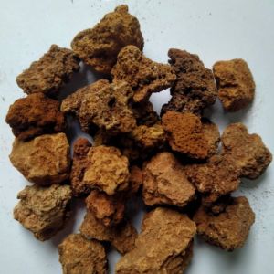 LAVA BITS RED #20 - BY MICHKIO SHEN SHOP (GOOD QUALITY) - FOR LANDSCAPING AND AQUA SCAPING