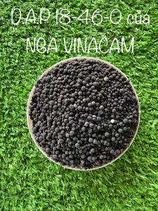 Phân Bón D.A.P của Nga 18-46-0 VINACAM lẻ 1 Ký