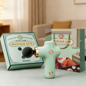 CHIC BUS | Luxury Practical Massage Device