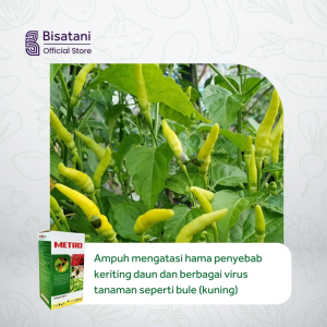 Metro 250ml Obat Keriting Daun Cabai Tomat Obat Hama Thrips Tungau Kutu Putih Obat Cabai Anti Keriting Obat Cabai Daun Keriting