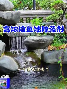 JIAKEMEI | Non-Toxic Algae Remover