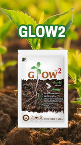 จุลินทรีย์เร่งราก ยาเร่งราก โกลว2 Glow2 เร่งใบ กระตุ้นการแตกใบอ่อน ตัวช่วยให้พืชตั้งตัวไวและแตกใบดี (100กรัม)