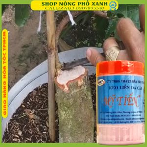 Keo liền da cây Mỹ Tiến keo liền sẹo cây Mỹ Tiến 225gr bảo vệ vết cắt sau khi ghép cây cắt tỉa cành ngăn ngừa vi khuẩn rong rêu nấm mốc