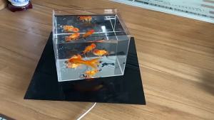Aquarium Acrylic Fish Tank Betta Fish Display Rack Multi-grids Desktop Small Fish Tank Isolation Turtle Tank ature Landscape