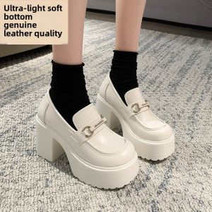 Trendy Mary Jane Womens Shoes with 10cm Ultra High Heels Thick Bottom Platform Chunky Heel Waterproof Fashion Single Shoes