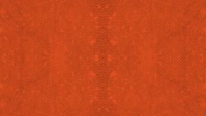 Bộ 3 Cây Kìm Mini Điện Cắt Nhọn 45inch 115mm Wokin 102245 102145 102045 Chất liệu thép rèn chuyên dụng cán bằng nhựa nhúng 2 thành phầ Đồ Nghề DC