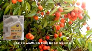 phân bón siêu dưỡng trái AGAMA support can 5 lítdưỡng trái to trái dai cuốn - chống rụng trái