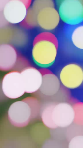 SANDO SHORT TERNO FOR KIDS 3 PCS ASSORTED