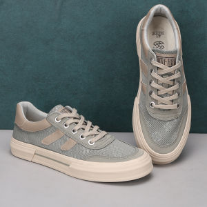 Summer 2025 Mens Casual Canvas Shoes Breathable Soft Bottom Driving Shoes Versatile Mesh Shoes Comfortable round Toe Rubber Sole