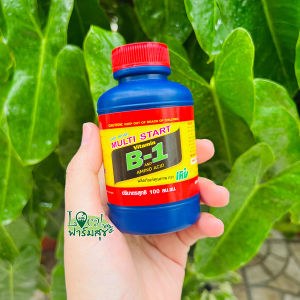 น้ำยาเร่งรากบีวัน ยาเร่งรากB-1 เข้มข้น สารเร่งราก อาหารเสริมพืช ช่วยให้พืชแตกรากได้ดี