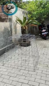 Kurungan Trapesium Galvanis 90X80X60 cm (BESAR) / kandang ayam trapesium ayam pisau