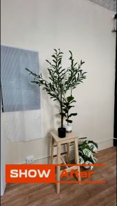 วอลเปเปอร์ติดผนัง ลายสีพื้น ขนาด 0.45x9-10m สติ๊กเกอร์ วอลเปเปอร์ผนัง สติ๊กเกอร์ติดผนัง สีล้วน มินิมอล wallpaper PVC เกรดดี มีกาวในตัว 0.45x9-10m