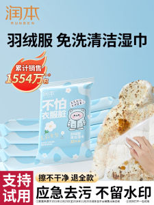 down Jacket Cleaning Wet Wipes Dry Cleaning Stain Removal Agent Clothing Cleaning Wet Wipes Professional Stain Removal