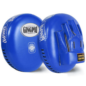 GINGPAI | Bộ Đệm Tập Boxing Và Võ Thuật