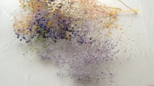 5g/MINI Baby Breath Preserved Flowers For Home Decor DIY Dried Flowers for  Aromatherapy Candle for Resin Fillings Nail Art Home