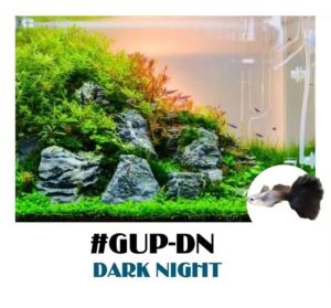 Guppy Aquarium Needs Guppy DarkNight Tank