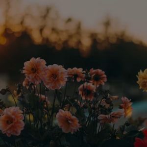 Paket Buku Biografi Istri & Putri Nabi & Sirah Nurul Yaqin