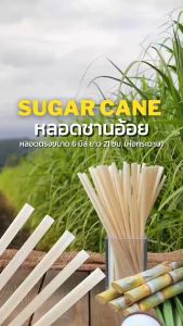 (ยกลัง) หลอดชานอ้อย โอเพียว ขนาด 6 มิล 8 มิล ยาว 21 ซม. *ห่อซองกระดาษ OPure หลอดรักษ์โลก ย่อยสลาย
