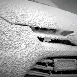 { "ชู่แปรงล้างรถ แพ็ค 5 ชิ้น ชุดแปรงทําความสะอาดขอบล้อรถยนต์ พร้อมส่ง" }