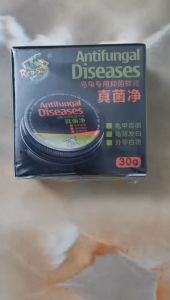 PETSEE 真菌膏 真菌膏乌龟 真菌净 Turtle Anti Fungal Medicine Fungus Antifungal Cream Shell 乌龟药 乌龟真菌膏 乌龟真菌 乌龟菌 乌龟真菌净 Ubat Kura Kura
