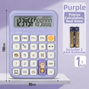 Good | Financial Accounting Office Student Use Calculator Voice