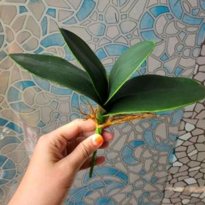 Daun Anggrek latex artificial