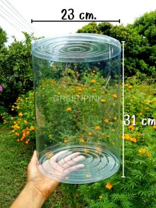 กล่องพลาสติกใส จำนวน2กล่อง กลม ทรงกระบอก กล่องอบต้นไม้ 23x31 cm.