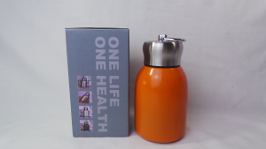 Bình đựng nước giữ nhiệt mini 300ml có nắp móc khóa xách tay hiện đại nhỏ gọn
