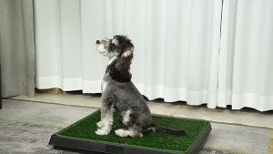 Pet Potty Training Tray Dog Grass Pad With Tray 25" x 20" Potty for Puppy Training 3-Layer System with Drawer Indoor/Outdoor Pet Toilet Loo for Dogs