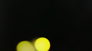 RAYHAYES Wireless Microphone 4 Channels UHF Rechargeable Microphone For Christmas Party- Christmas Special Gift