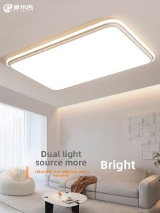 PAIMIJI | Modern Simple Luxury LED Ceiling Light