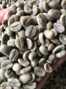 Green Bean Arabika Flores Bajawa Full Wash G1