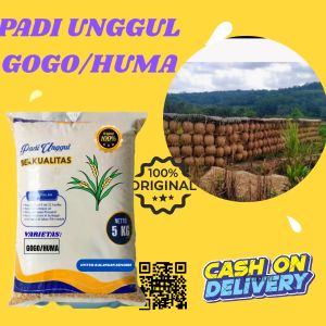 BENIH PADI UNGGUL GOGO/HUMA  100%ORIGINAL KEMASAN 5 KG