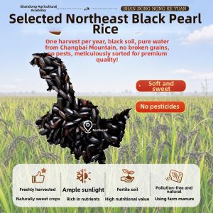 Pozong Specialty Black Glutinous Rice