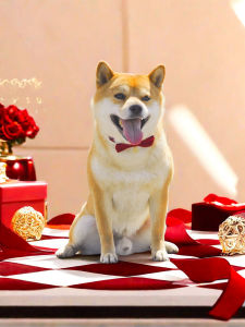 Dog Xi Character Bows Bow Tie Wedding Scarf Small and Medium-Sized Dogs Shiba Inu Corgi Collar Decorations Red