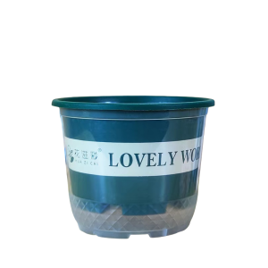 Large Size Double Layer Transparent Plastic Flower Pots Water Absorption Pans Self Watering Pans for Bonsai Green Ivy Balcony