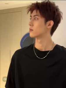 Kalung titanium pria trending aksesoris kalung padi pria anti karat