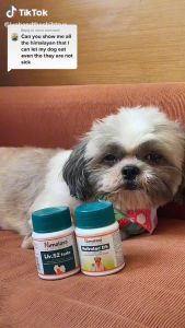 Himalaya Nefrotec DS 60 Tablets: A Comprehensive Guide for Cat & Dog Urinary Care