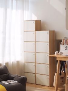 5 ชั้น ตู้เก็บ การออกแบบโมเดิร์น ตู้วาง หลายชั้น สไตล์: ตู้อเนกประสงค์