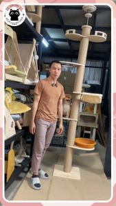 เสาจัมโบ้ เสาปีนน้องแมว คอนโดแมว เสาลับเล็บแมว