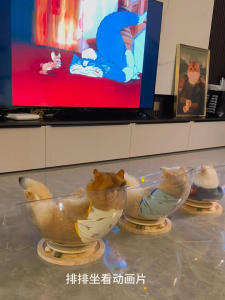 Spacecraft Acrylic Cat Bed Rotating Chair Summer Ice Cave Integrated Half-Closed Design Cat Toy Comfortable Cat Nest