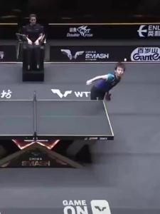 Double Fish | Beginner Training Racket with Two Sides Inverted Rubber Long Handle