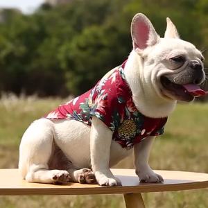 Hawaiian Style Pet Dog Clothe Summer SandBeach Dog Shirts for Small Medium Dogs Puppy Cat Clothing Ropa Perro Pug French Bulldog
