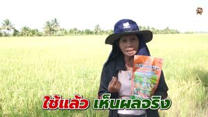 ชาลีเฟรท ปุ๋ยเกล็ด 0-0-60 ขนาด 1 กิโลกรัม มีปริมาณธาตุโพแทสเซียมสูง เพิ่มปริมาณแป้ง เพิ่มขนาด และสีสัน