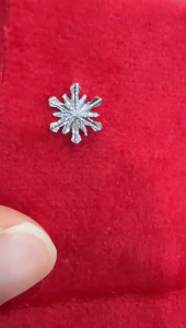 Poh Heng Jewellery 18K Snowflake Earrings in White Gold