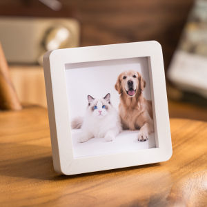 pet decorate Pet Commemoration Square Mini Wooden Frame